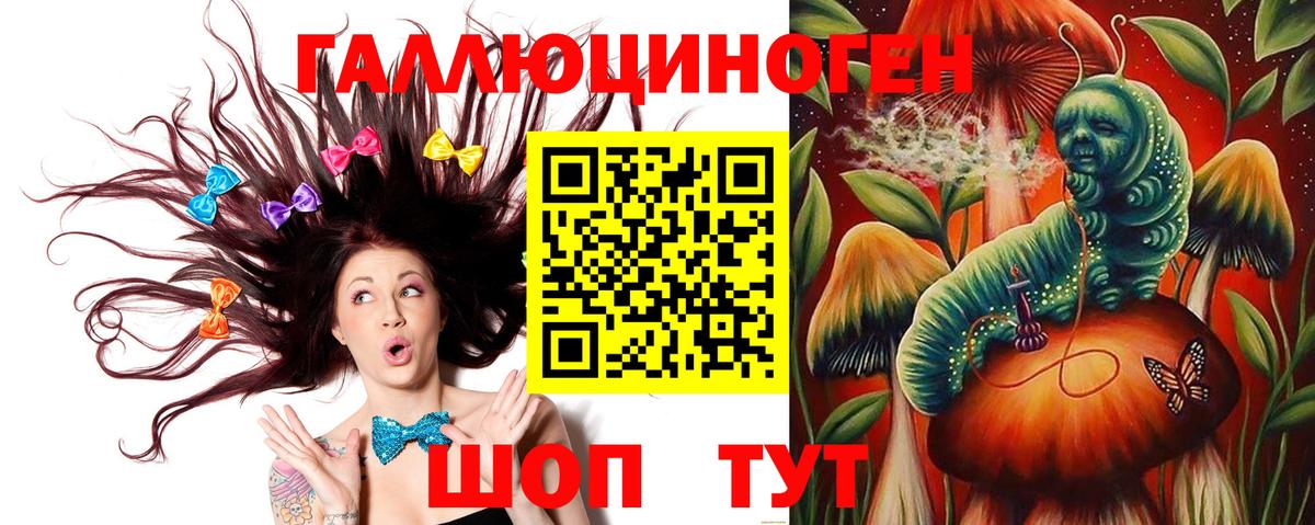 Псилоцибиновые грибы Psilocybine cubensis  Вход с VPN  Находка  Галлюциногенные грибы Psilocybine cubensis 