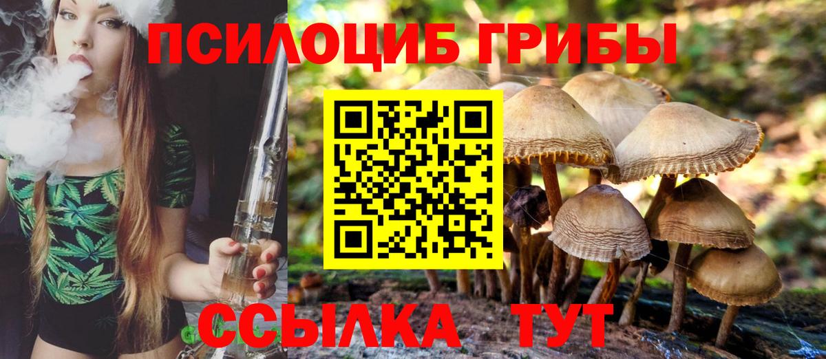 Псилоцибиновые грибы Psilocybe Находка